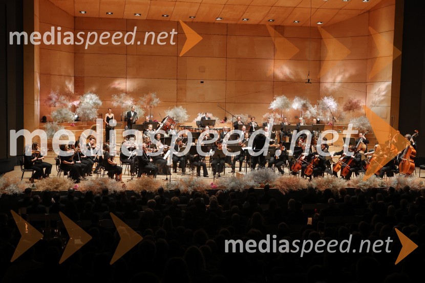 30. dobrodelni managerski koncert