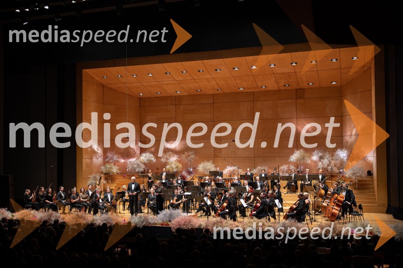 30. dobrodelni managerski koncert