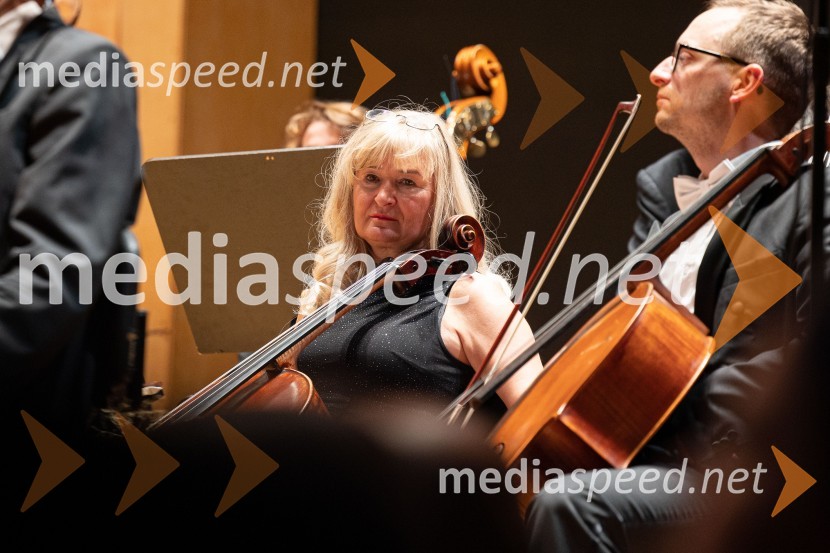  Tanja Babnik, čelistka30. dobrodelni managerski koncert