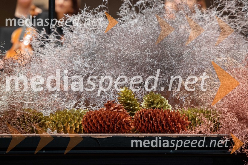 30. dobrodelni managerski koncert