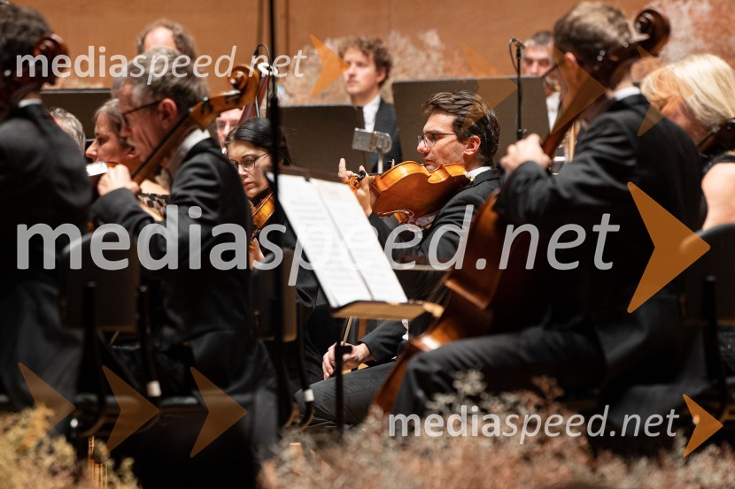 30. dobrodelni managerski koncert