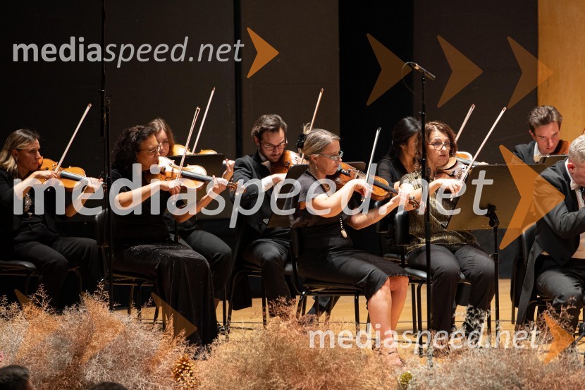 30. dobrodelni managerski koncert