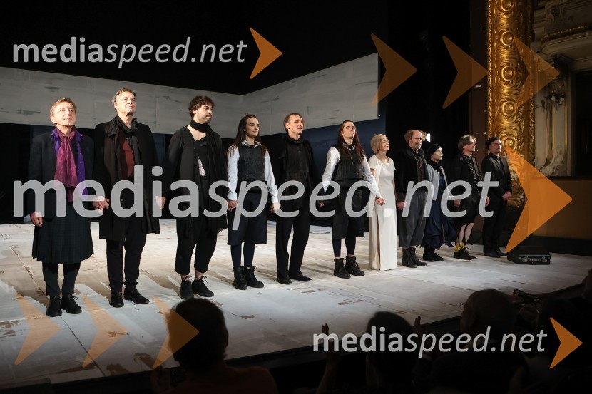  Gregor Baković, igralec;   Igor  Samobor, igralec;  Benjamin Krnetić, igralec;  Tina Vrbnjak, igralka;  Marko  Mandić, igralec;  Klemen Janežič, igralec, koreograf;  Polona  Juh, igralka;  Janez Škof, igralec;  Veronika Drolc, igralka;  Branko Šturbej, igralec;  Gorazd  Logar, igralecKar hočete, premiera Shakespearove drame v SNG Drama Ljubljana