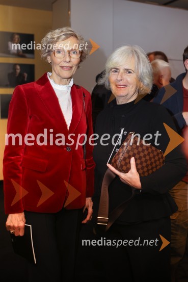 Pohorski bataljon, premiera predstave v MGL