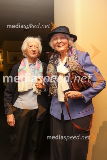 Pohorski bataljon, premiera predstave v MGL