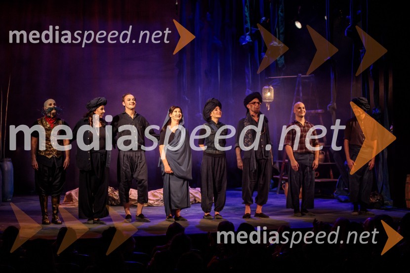  Aljoša Ternovšek, igralec;  Darja Reichman, igralka;  Blaž Setnikar, igralec;  Vesna Pernarčič, igralka;  Živa Selan, igralka;  Borut  Veselko, igralec;  Dominik Vodopivec, igralec;  Željko Božič , koreograf, igralecHarun in morje zgodb, premiera, Prešernovo gledališče Kranj