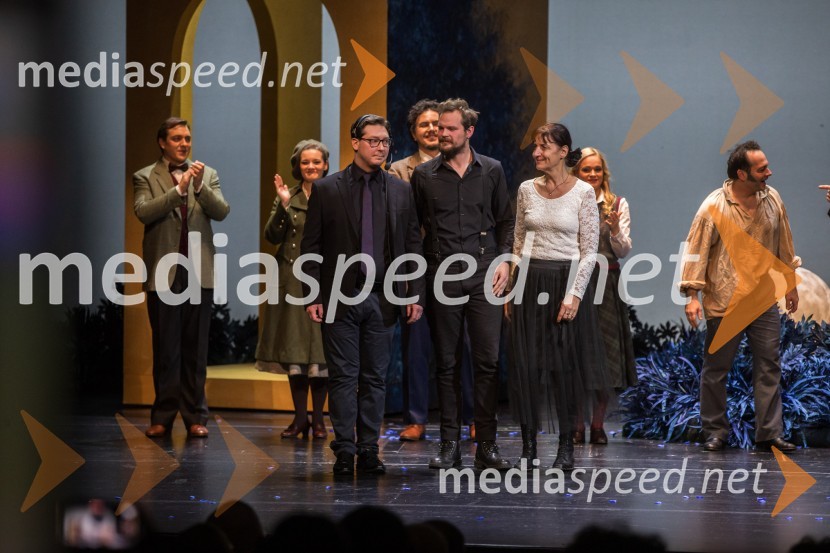 Werther, premiera opere v SNG Opera in balet Ljubljana