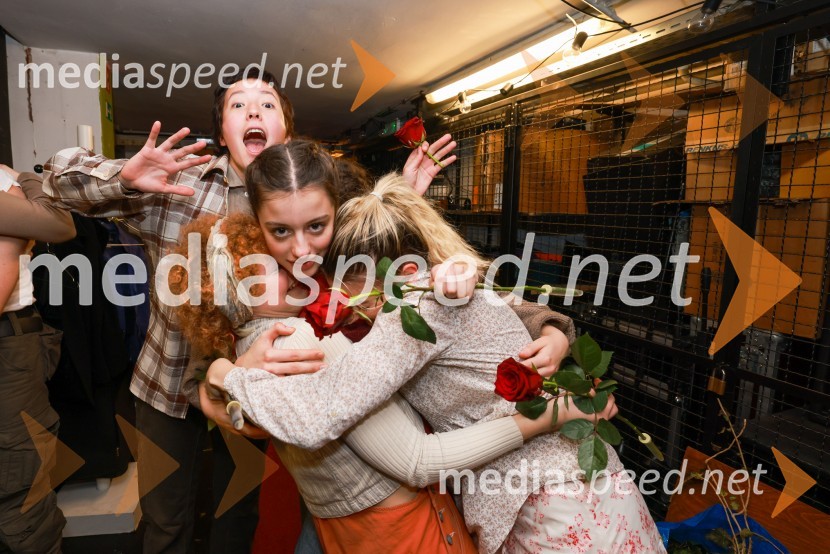  Fedja Boldyrev, igralka;  Neža Duša Draž;  Pika Kovač;  Erin Bregar Sabolić, igralkaUmetnost vojne/Umetnost miru, premiera v SMG Ljubljana