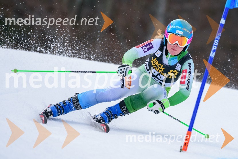  Meta Hrovat, alpska smučarkaMeta Hrovat zaključuje svojo športno pot