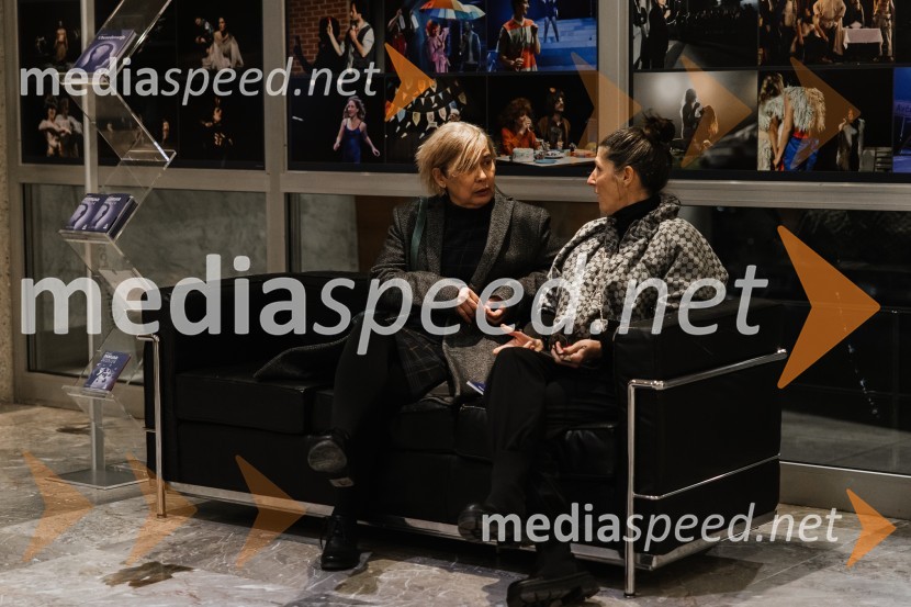 Ubesedovanje, premiera v SNG Nova Gorica