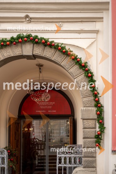 Pokrajinski muzej MariborMirjana Koren, direktorica Pokrajinskega muzeja Maribor