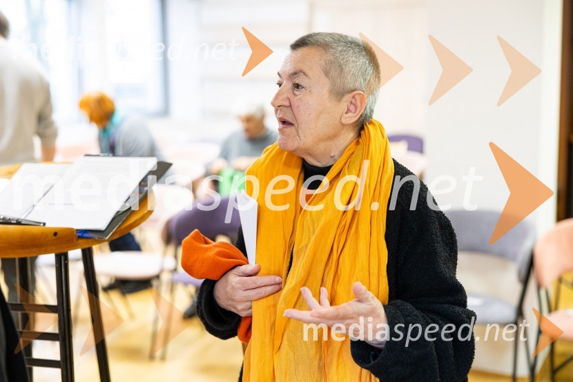 Razglasitev zmagovalnega romana za nagrado modra ptica 2024