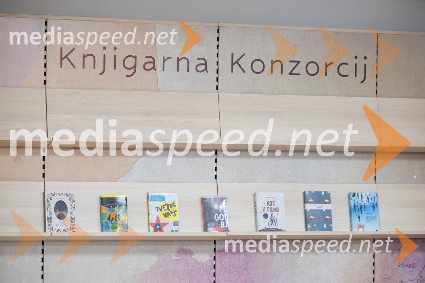 Razglasitev zmagovalnega romana za nagrado modra ptica 2024