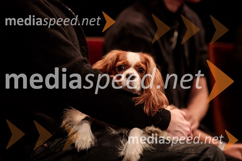 Prešernov dan v Kranju