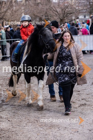 Prešernov smenj 2024