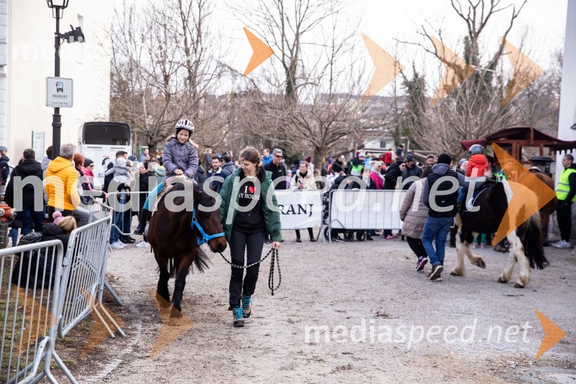 Prešernov smenj 2024