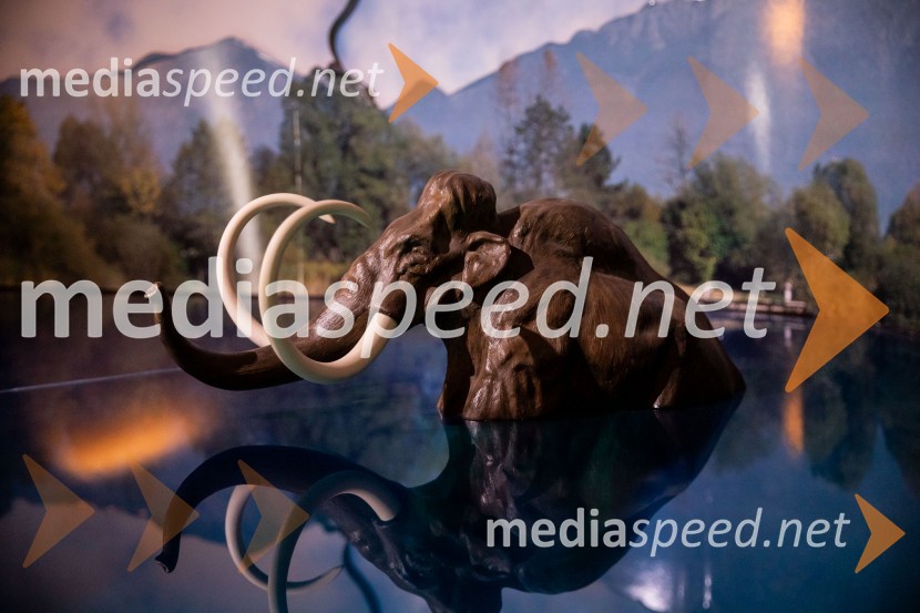 Prešernov smenj 2024