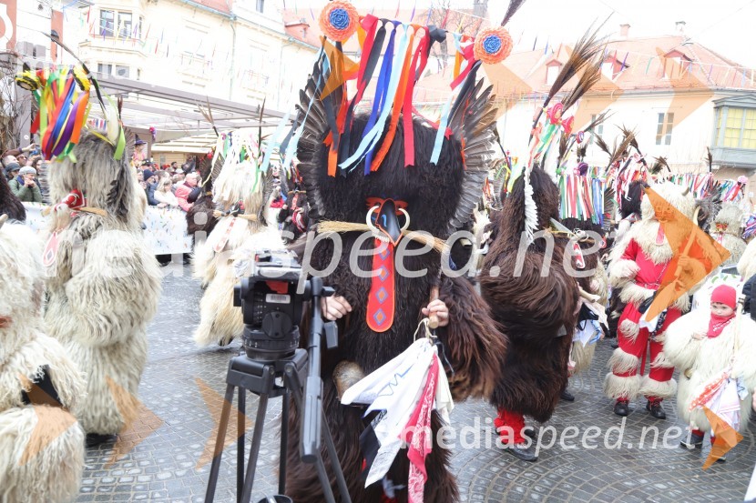 64. Mednarodna karnevalska povorka