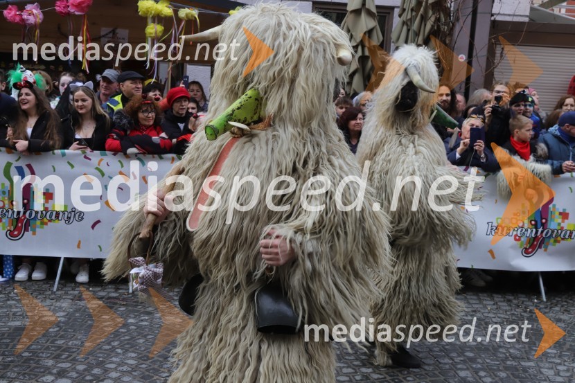 64. Mednarodna karnevalska povorka