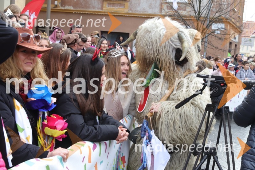 64. Mednarodna karnevalska povorka