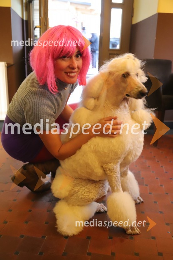 64. Mednarodna karnevalska povorka