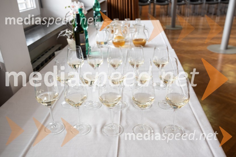 Slovesna otvoritev prenovljenega laboratorija Pomurski laboratorij