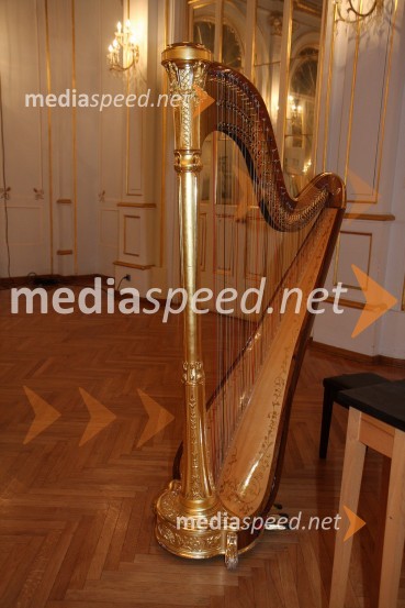 HarfaDeveti abonmajski koncert cikla Savitra: David Lootvoet, harfist