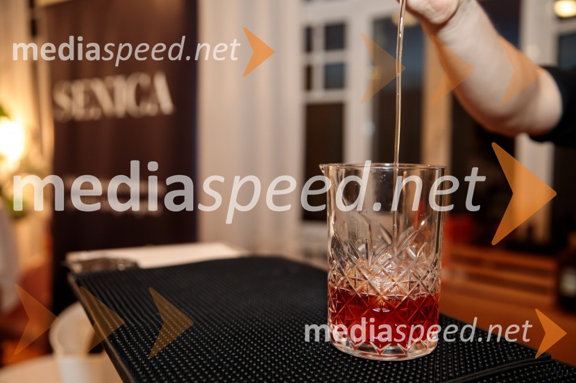 Srečanje Alumni kluba Fundacije Parus