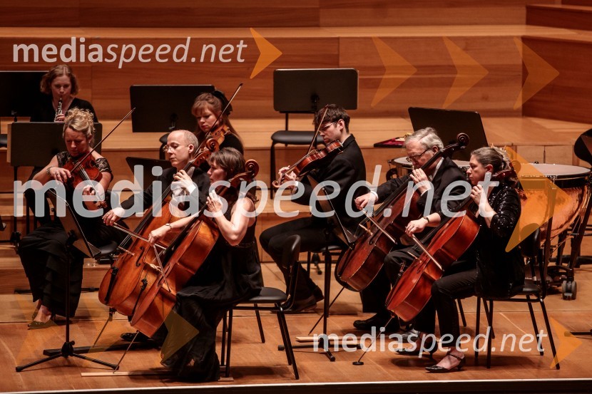 Angleški komorni orkester, koncert v Cankarjevem domu