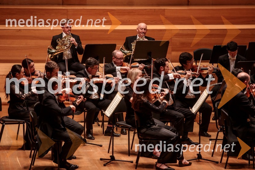 Angleški komorni orkester, koncert v Cankarjevem domu