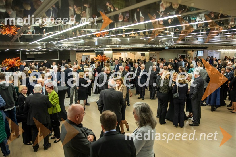 Angleški komorni orkester, koncert v Cankarjevem domu