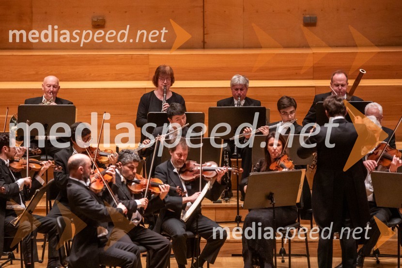 Angleški komorni orkester, koncert v Cankarjevem domu