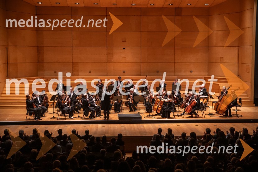 Angleški komorni orkester, koncert v Cankarjevem domu