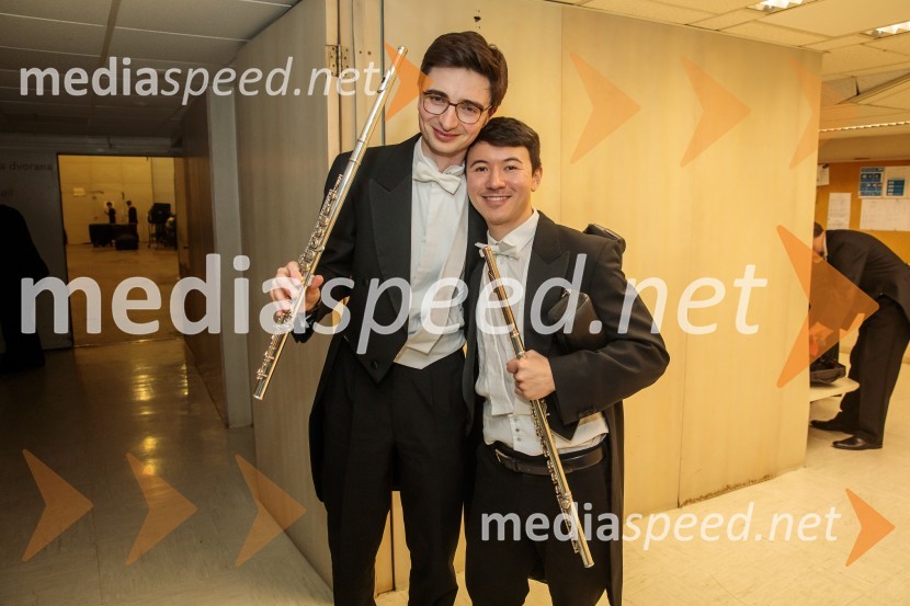 Angleški komorni orkester, koncert v Cankarjevem domu