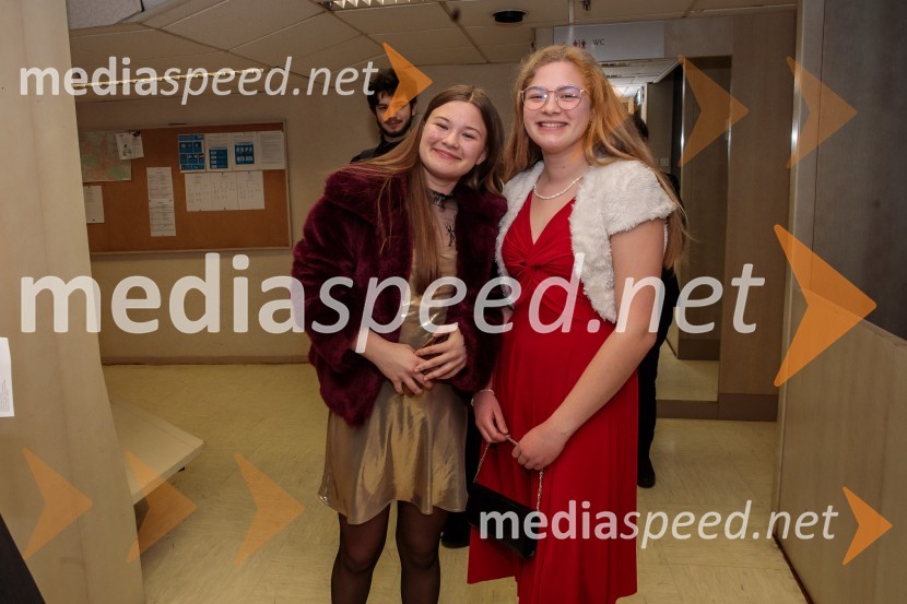 Angleški komorni orkester, koncert v Cankarjevem domu