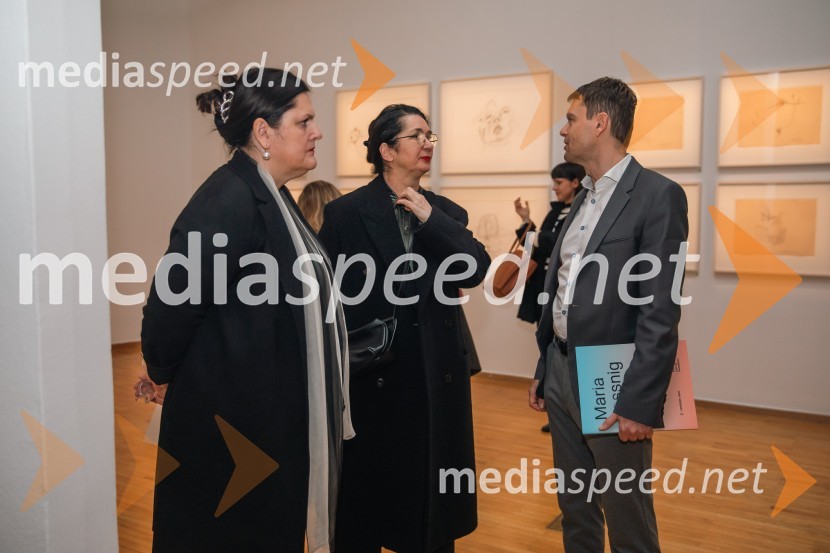  Uršula Cetinski, generalna direktorica, Cankarjev dom;  Zdenka Badovinac, direktorica, Muzej sodobne umetnosti Zagreb; mag. Boštjan Škufca Zaveršek, podpredsednik uprave, Telekom SlovenijaOdprtje razstave Marie Lassnig v Cankarjevem domu