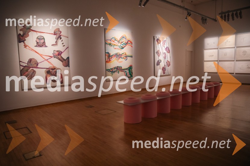 Odprtje razstave Marie Lassnig v Cankarjevem domu