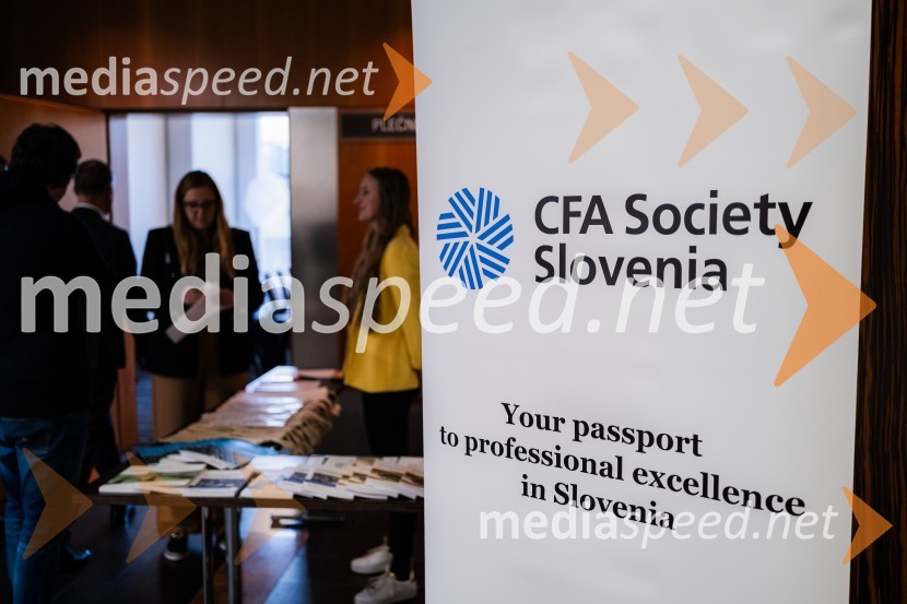 CFA Research Challenge 2023/2024