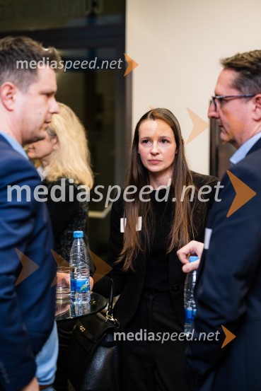 CFA Research Challenge 2023/2024