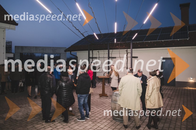 Steyerjev tradicionalni kulinarični večer s Tomažem Kavčičem