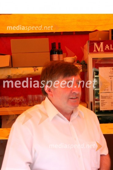 Anton Černič, podžupan Občine Metlika27. Vinska vigred