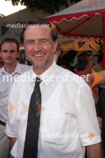 Lojze Peterle, politik27. Vinska vigred