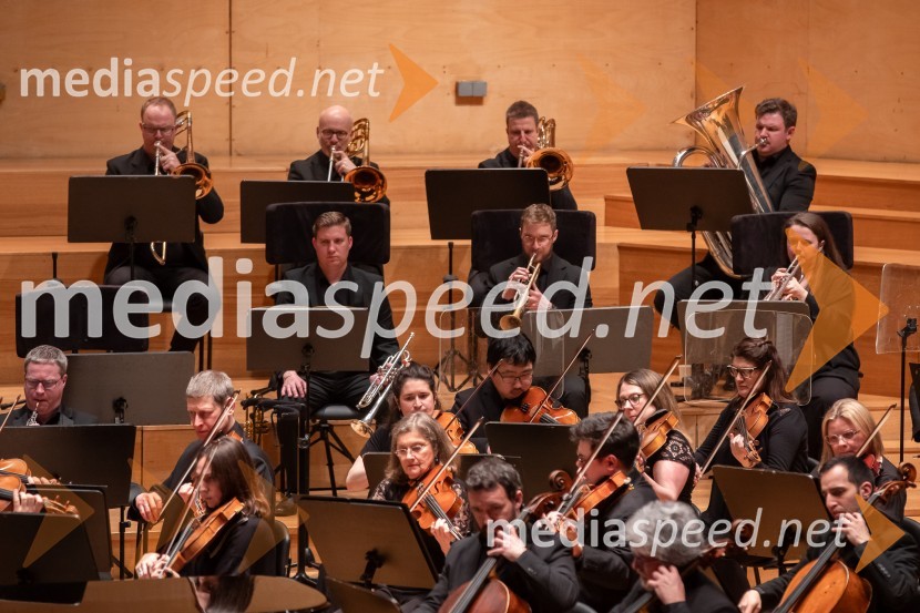 Simfonični orkester mesta Birmingham, Cankarjev dom