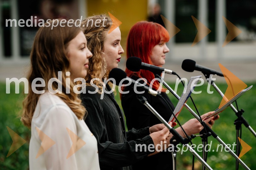 V Kranju postavili doprsni kip Prešernovega poljskega sodobnika