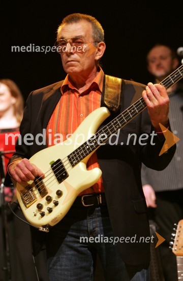 Marinko Colnago, basist skupine Novi FosiliNovi Fosili, koncert v Dvorani Tabor