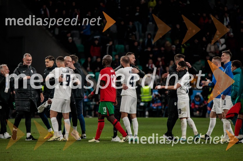 Slovenija premagala Portugalsko z 2:0