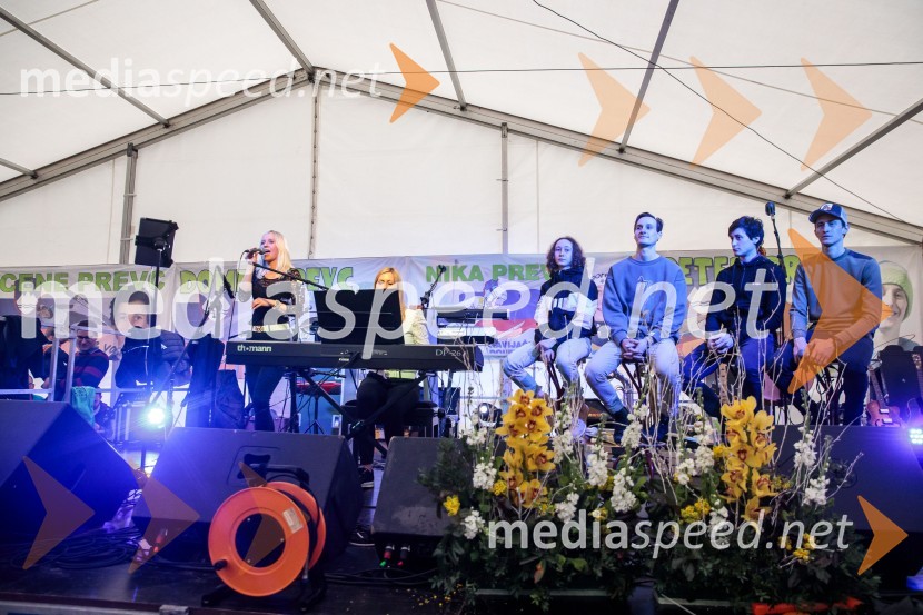 Sprejem smučarskih skakalcev Prevc v rodni Dolenji vas