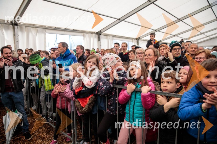 Sprejem smučarskih skakalcev Prevc v rodni Dolenji vas