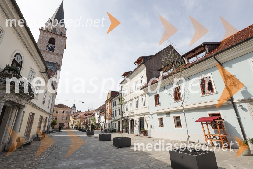 Nova drevesa za zeleni Kranj