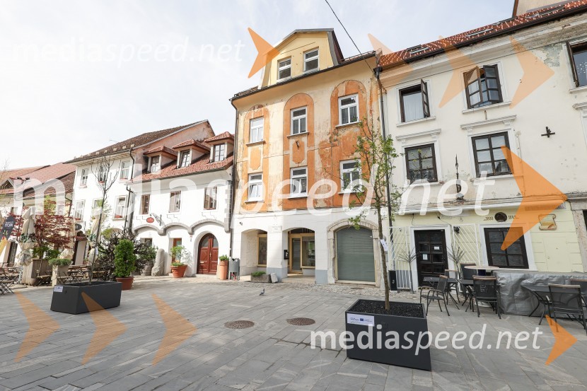 Nova drevesa za zeleni Kranj